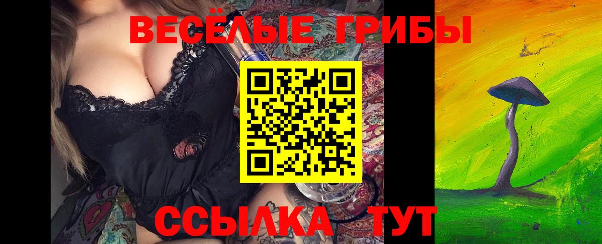 Галлюциногенные грибы Cubensis Волгодонск
