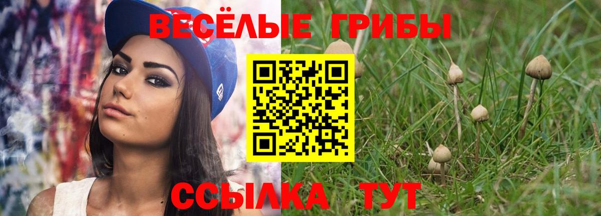 Волгодонск  купить   Галлюциногенные грибы мицелий  Вход с VPN  Псилоцибиновые грибы ЛСД 